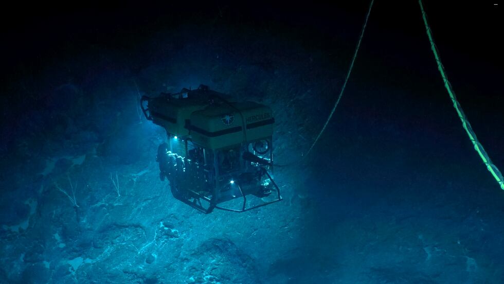 Hercules ROV