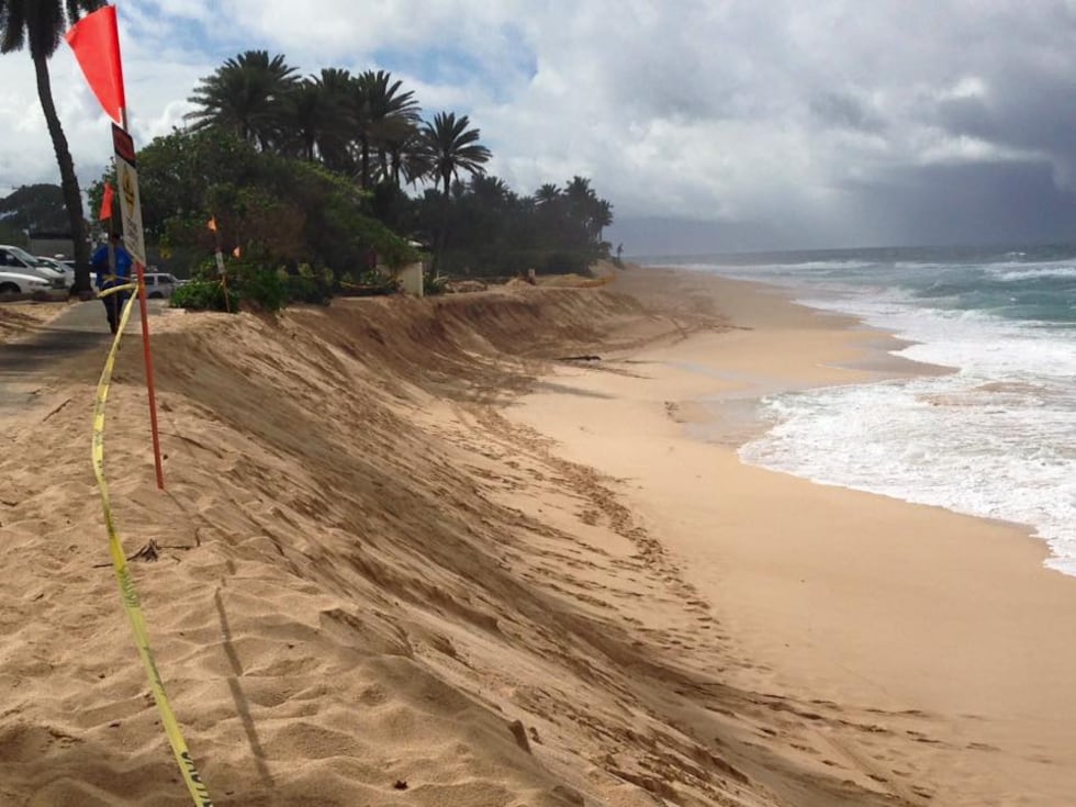 (Image: Hawaii News Now)