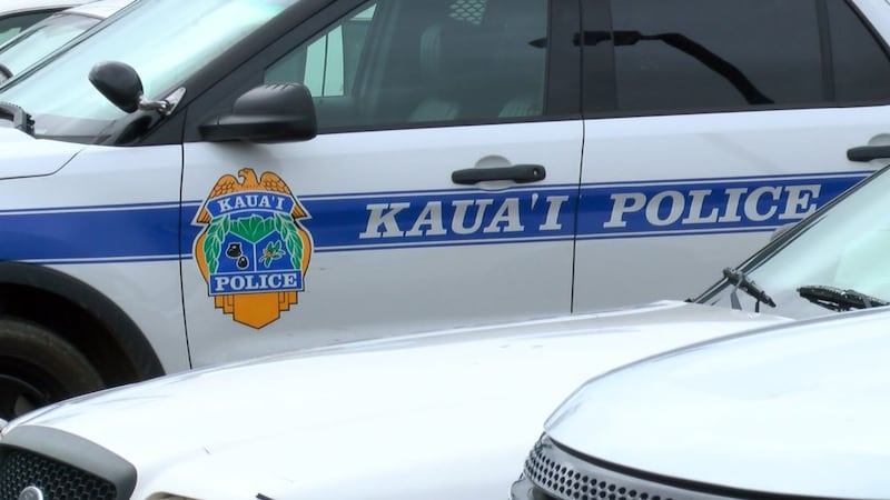 Kauai police file image