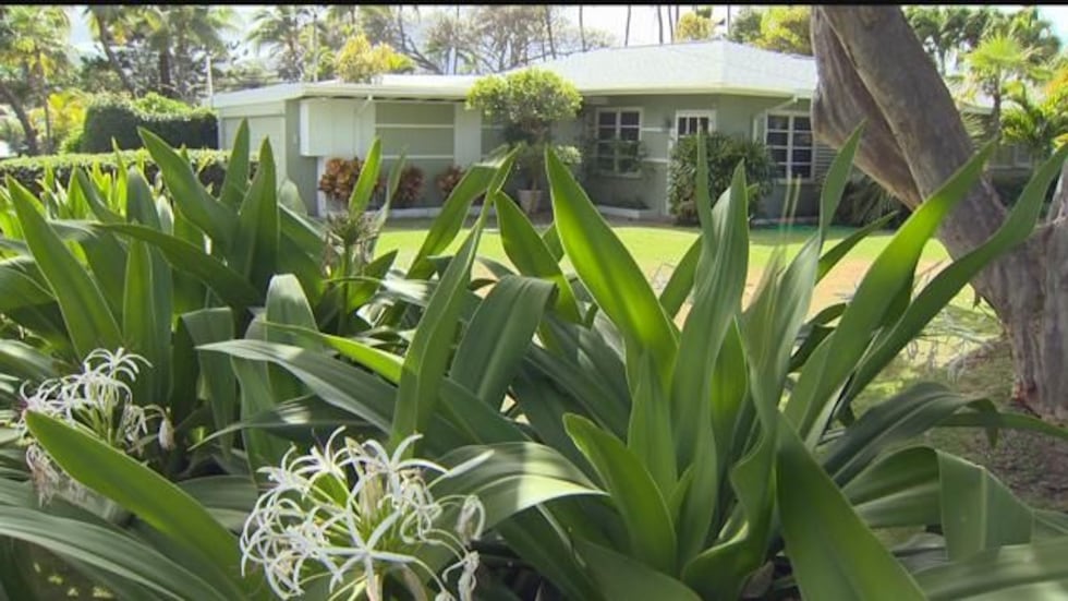 Illegal Kailua vacation rentals (Image: Hawaii News Now)