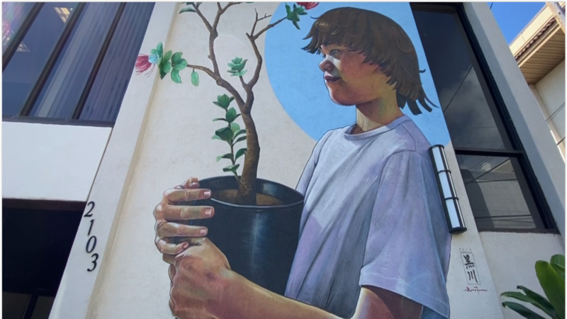 The mural is called “Hoomau,” which means persistence, perseverance and renewal.