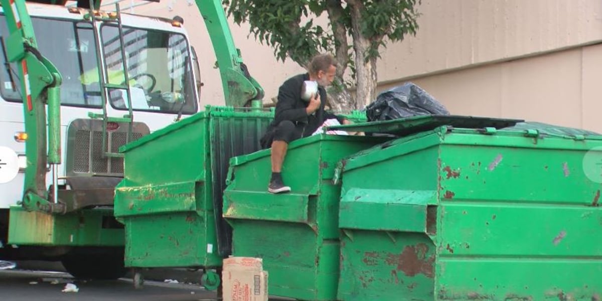 Mucho cuidado con lo que tiras a la basura, te puede buscar la ruina 1 Merca2.es El auge del "dumpster diving": protege tus datos personales de los ciberdelincuentes