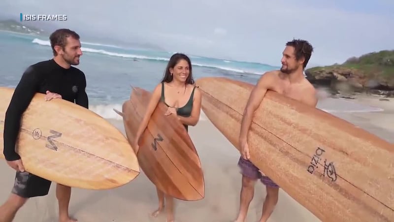 The business is called Bizia Surf and Coffee Bar because the boards it makes and sells are all...