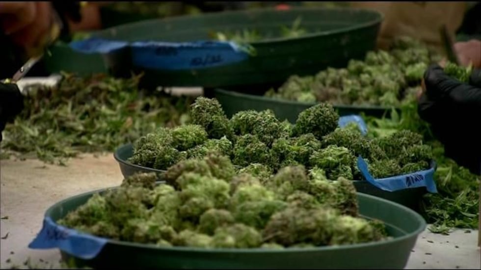 (Image: Hawaii News Now/File)
