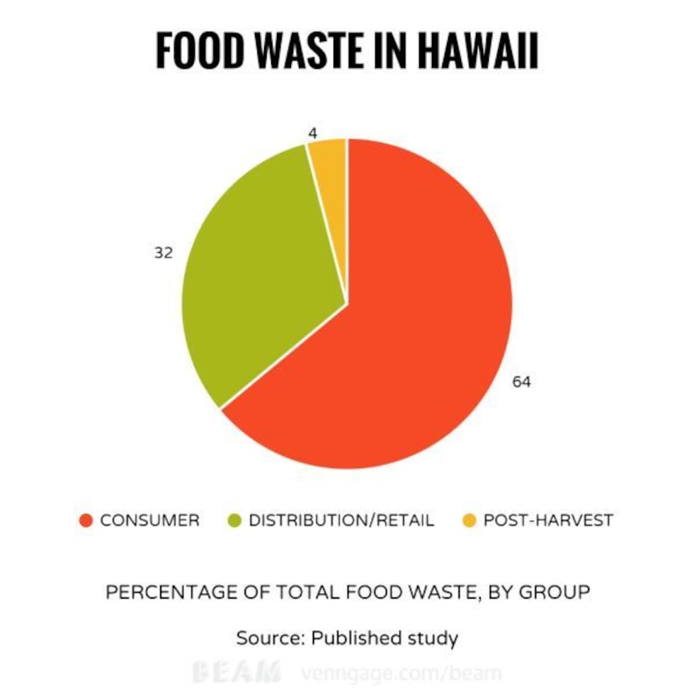 (Image: Hawaii News Now)