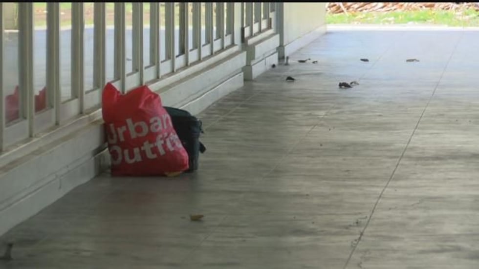 Image: Hawaii News Now