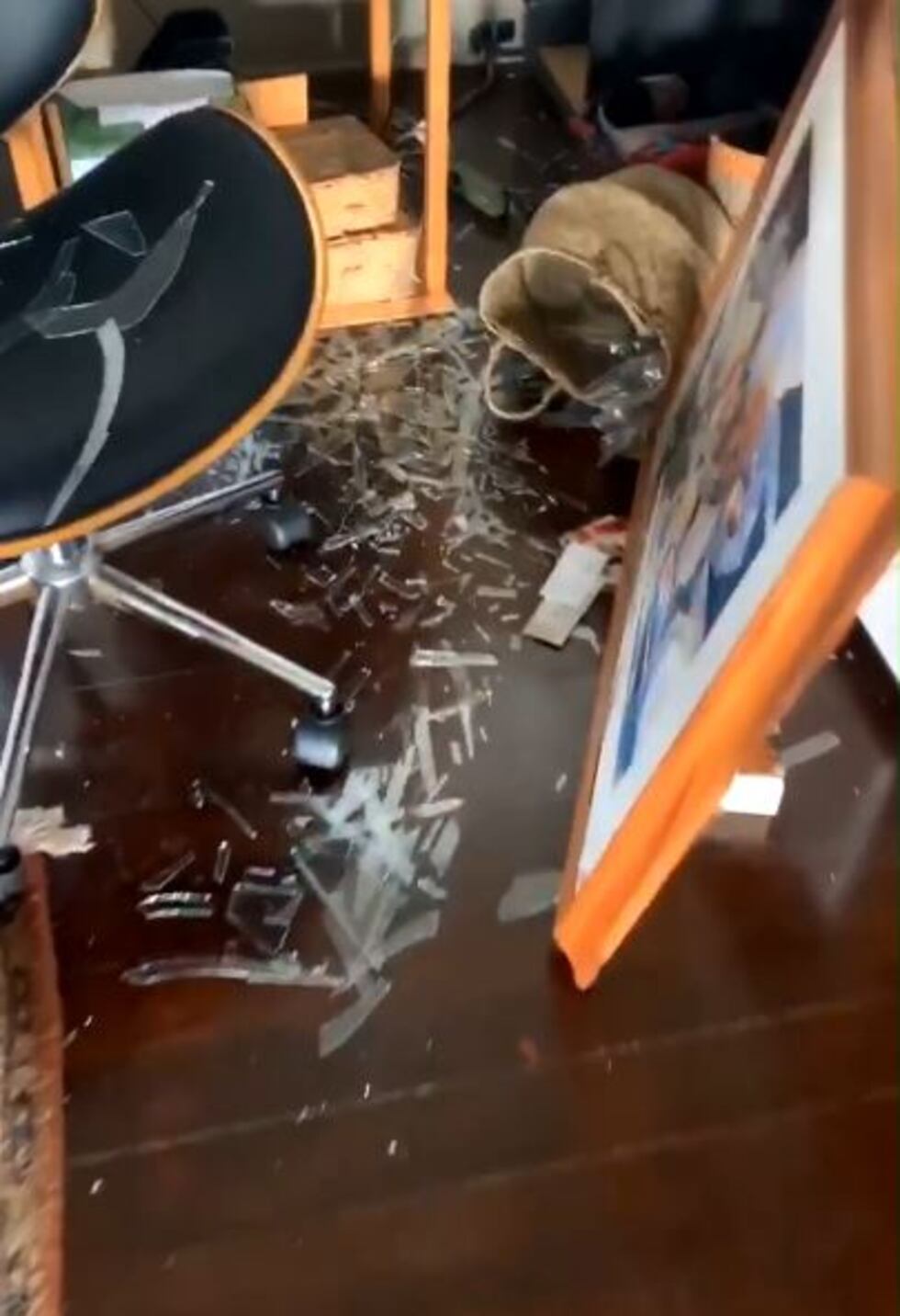 Some residents were left cleaning up broken glass following the earthquake.