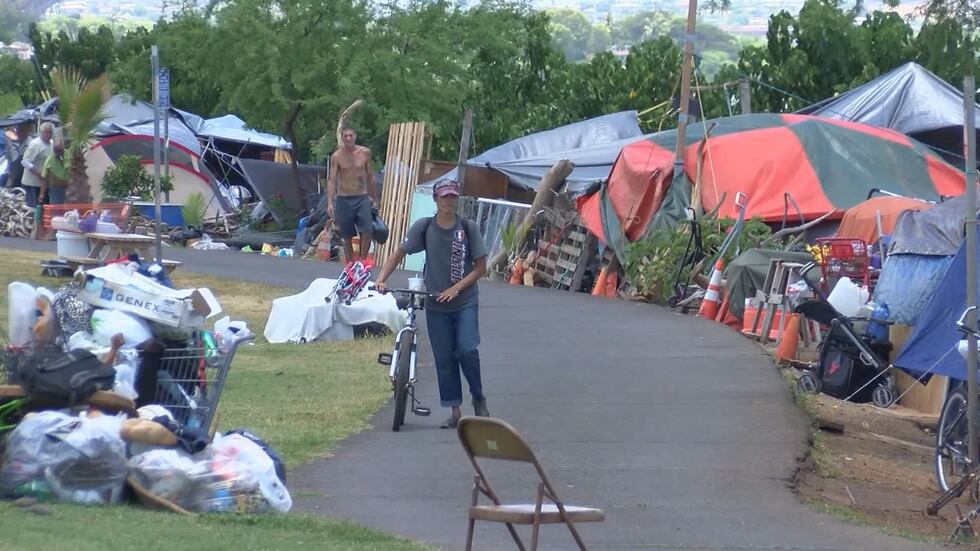 (Image: Hawaii News Now)