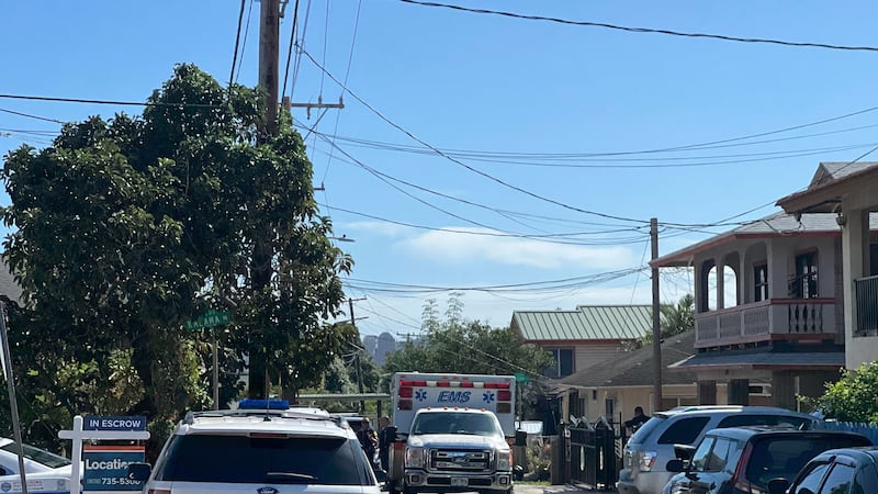 Authorities are investigating an attack by a dog that left a child and an adult in serious...