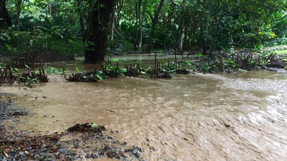rainwater runoff (image: Hawaii News Now)