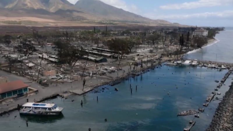 A new study out by UH researchers is providing the first comprehensive look at the health of...