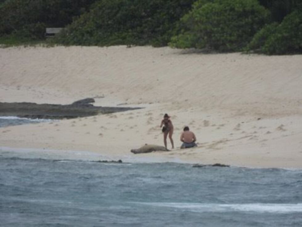 Images captured the pair getting dangerously close to the resting animal.