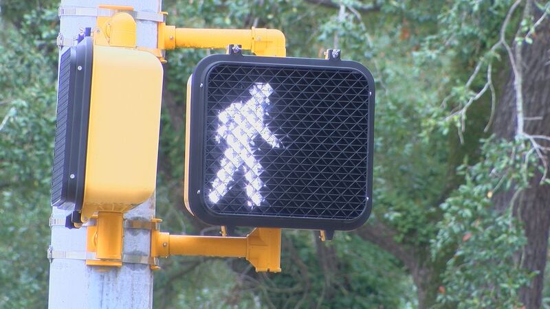 Coroner Michael Fowler talks pedestrian safety. (Source: WALB)