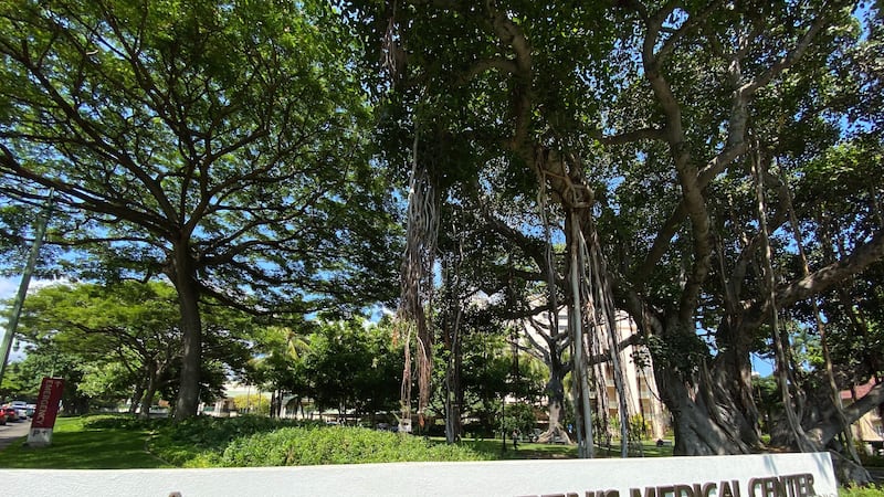 Kahi Mohala is the state’s only free-standing nonprofit psychiatric hospital. It has been a...