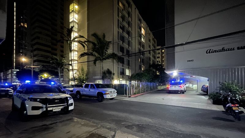 Waikiki stabbing