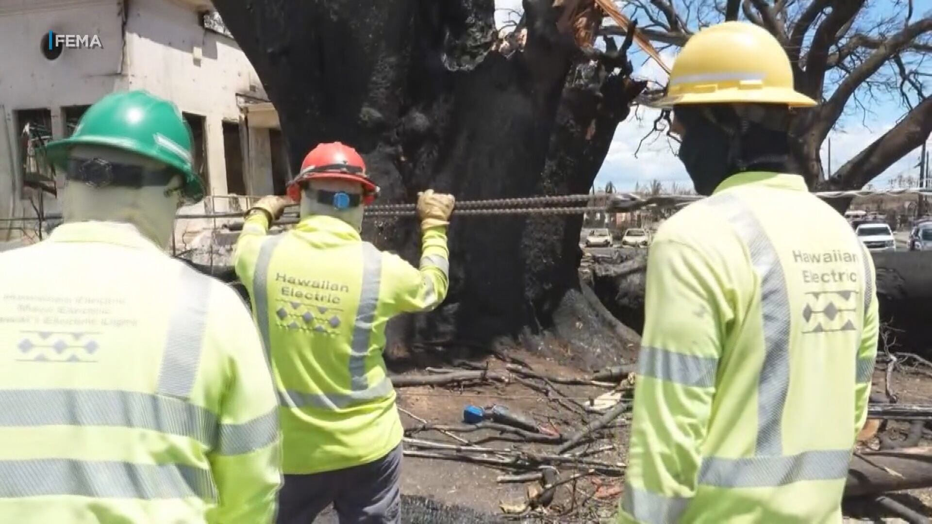 HECO launches program to cut power during wildfire risks. Here's what to know - Vimarsana News