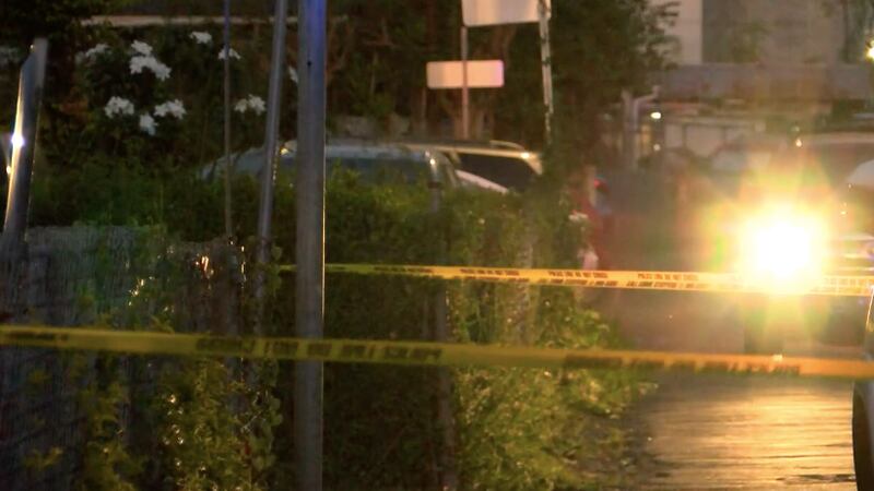 (Image: Hawaii News Now)