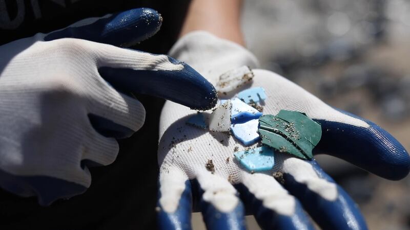 Pacific Whale Foundation announces a new program designed to involve the public in keeping...