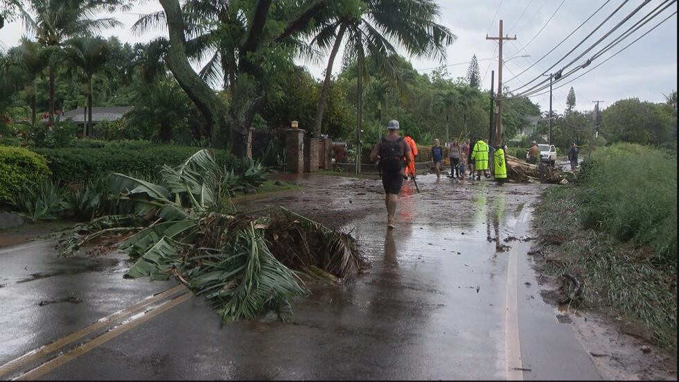 Crews are still assessing the extent of the damage to properties in West Maui. (Image: Hawaii...